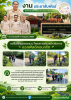 วันพุธที่ 8 กรกฎาคม 2569        นายมงคล หนูประสิทธิ์ นายกอง