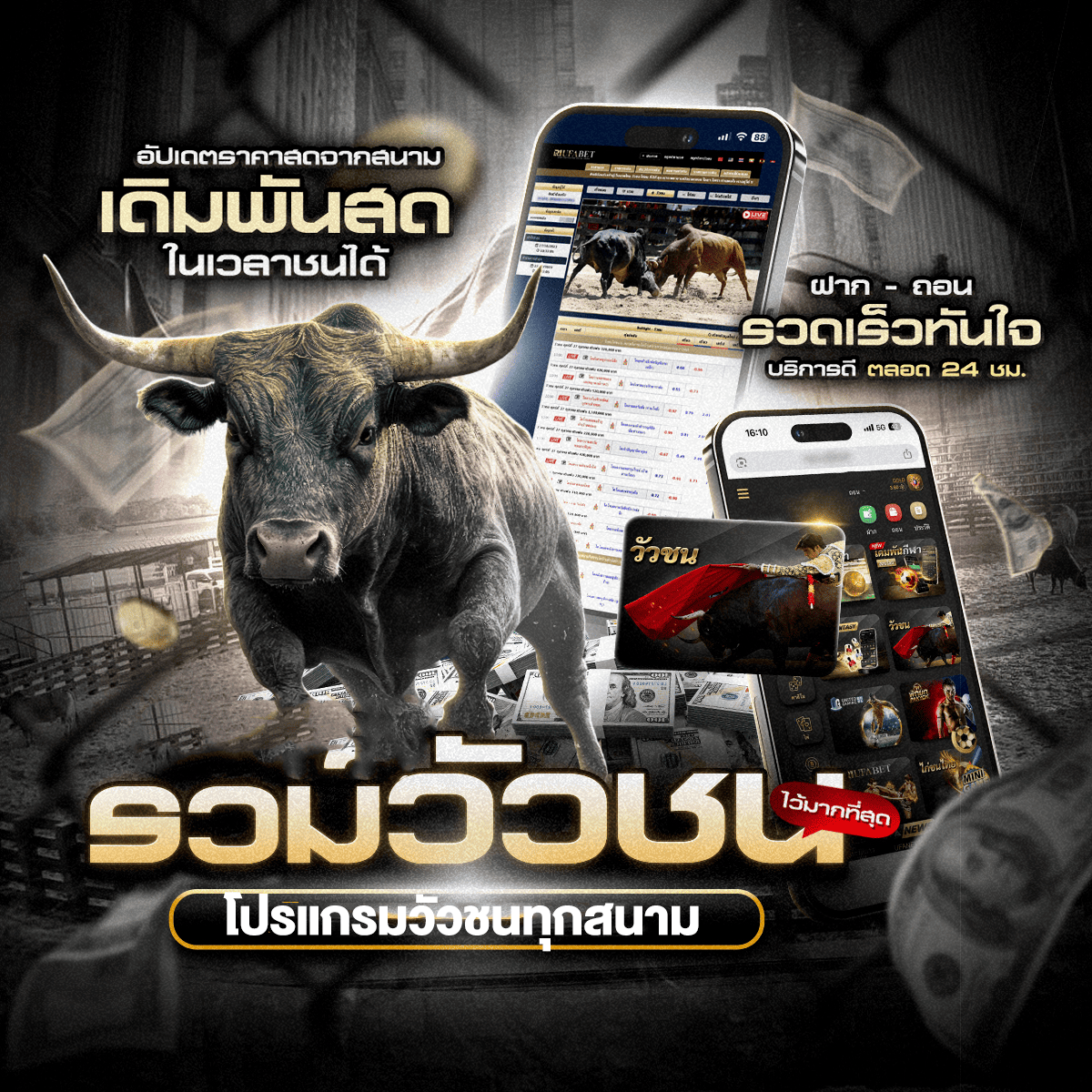 ���꡷���Ҿ