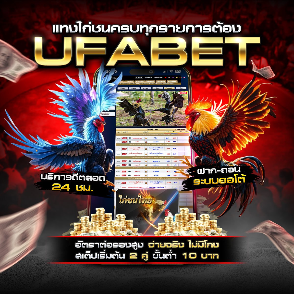 ���꡷���Ҿ