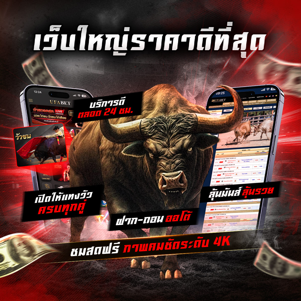 ���꡷���Ҿ