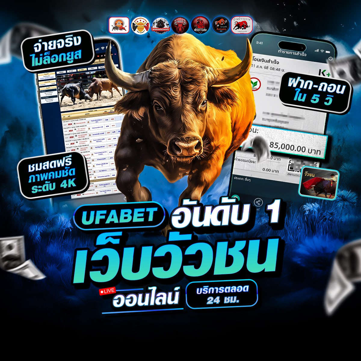 ���꡷���Ҿ