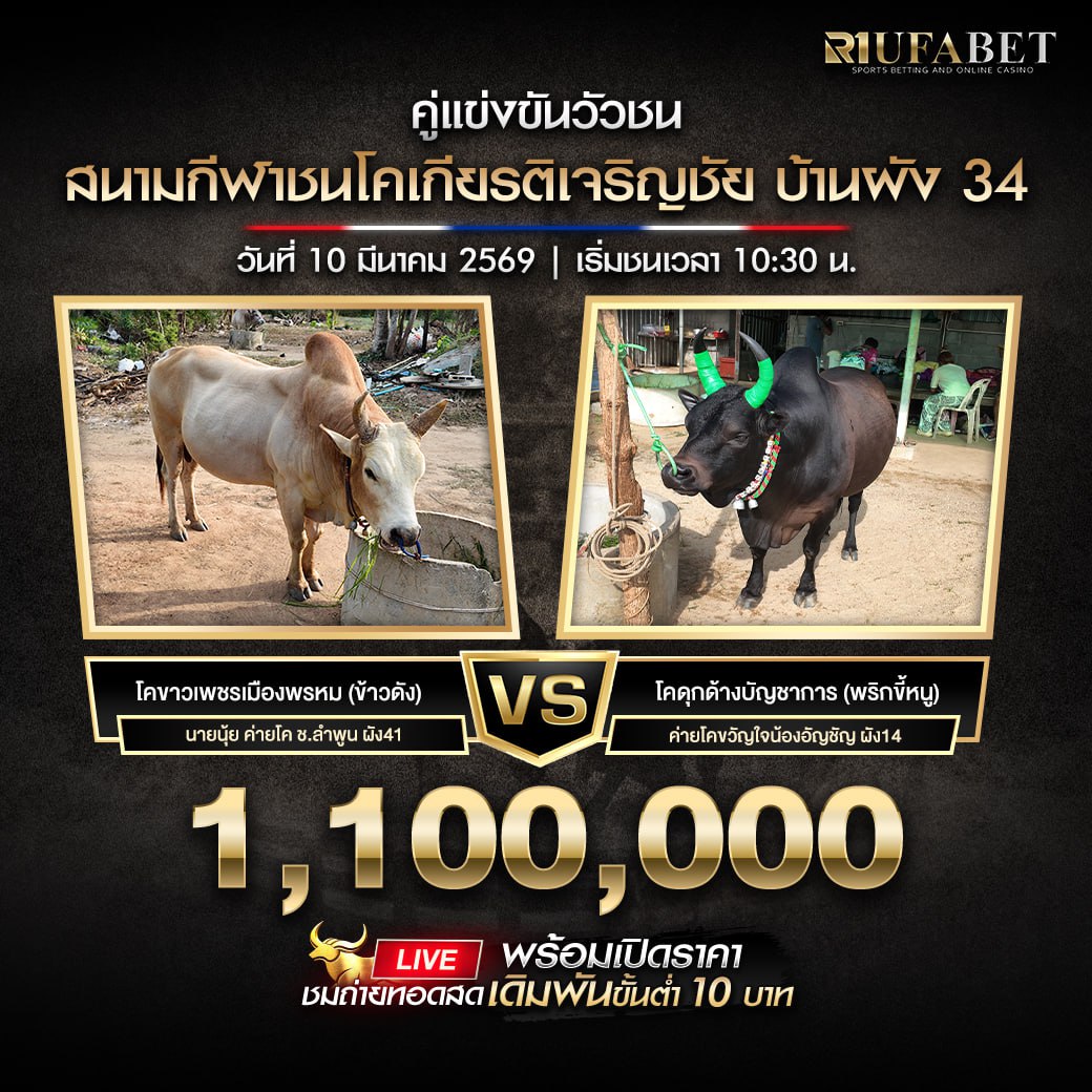 ���꡷���Ҿ